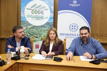 Τζεδάκης, Χουδετσανάκη, Μποκέας