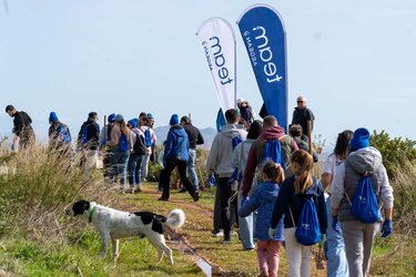Team Aegean, Δενδροφύτευση