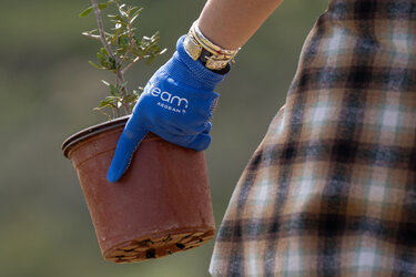 Team Aegean, Δενδροφύτευση