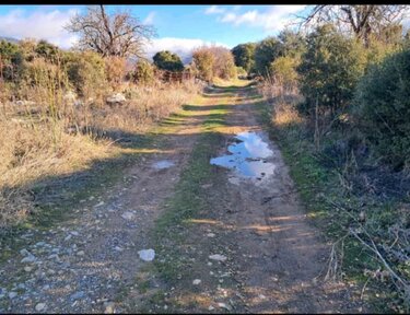 Αγροτικός δρόμος, Οροπέδιο Λασιθίου