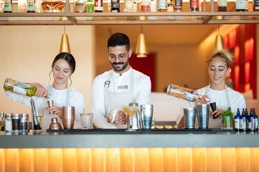 Metaxa Hospitality Group, Ημέρες Καριέρας