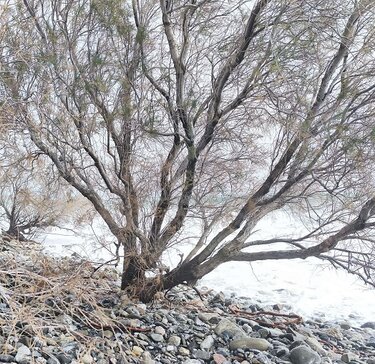 Νότος, Ζημιές, Θάλασσα