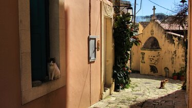 Ορειβατικός Σύλλογος Αγίου Νικολάου, Αρχάνες