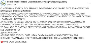 Φιλοζωϊκή Οργάνωση, Ανάρτηση, Μπεν