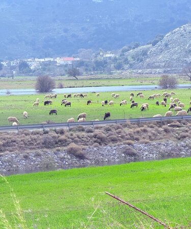 Μηλιαράς Οροπέδιο