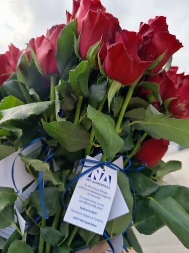 Τριαντάφυλλα, ΝΔ