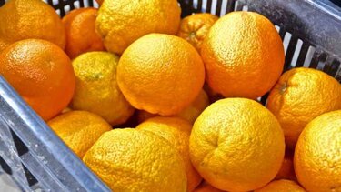 Κάλιο: Γιατί το χρειάζεστε και ποιες τροφές το περιέχουν