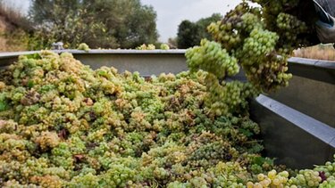 Αποζημιώσεις- Μ23: Ακριβώς 178,5 εκ ευρώ, τι προβλέπεται για την Κρήτη