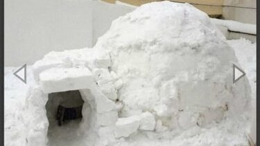 Στην Άνδρο το πρώτο ιγκλού της Ελλάδας! 