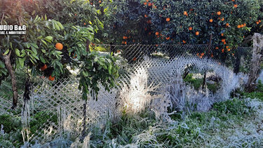 Η "Ελπίδα" πάγωσε την Αργολίδα