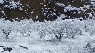 Αίσιο τέλος για τον κτηνοτρόφο που αγνοείτο