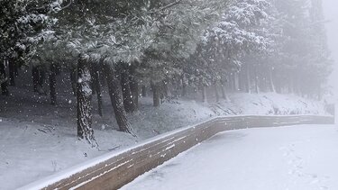 "Ελπίδα" στην Κρήτη - Πυκνή η χιονόπτωση, προβλήματα στους δρόμους - Δείτε Βίντεο