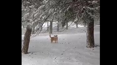 "Ελπίδα": Αυτοί που... διασκεδάζουν λίγο παραπάνω - Δείτε βίντεο