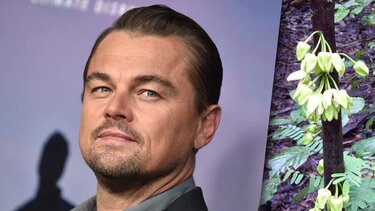 "Πάρτι" στο Twitter για το "κλαμπ κάτω των 25" του Leonardo DiCaprio
