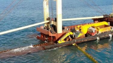 Δεν προκλήθηκε ρύπανση από το Manassa Rose, σύμφωνα με το Υπουργείο 