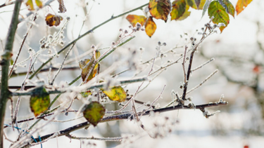 Ανοιχτά για προστασία από το κρύο το Κέντρο Αστέγων και η αίθουσα σεμιναρίων του ΠΣΚΗ