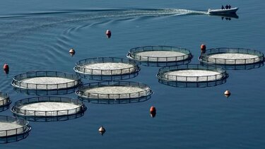 Στις 4-5 Δεκεμβρίου στο Ηράκλειο, το 2ο Περιφερειακό Συνέδριο Μεσογειακής Υδατοκαλλιέργειας