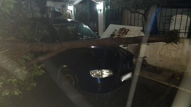 Κεραυνός ξερίζωσε δέντρο! Στη δίνη της κακοκαιρίας η Κρήτη!