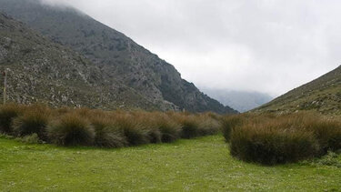 Στο Γεωπάρκο της Σητείας ο Ορειβατικός Σύλλογος Αγίου Νικολάου