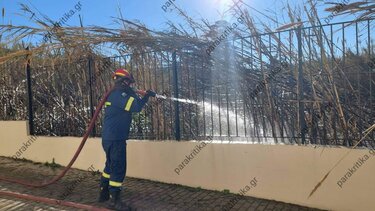 Κινδύνευσε το Δημοτικό Σχολείο Πλατανιά