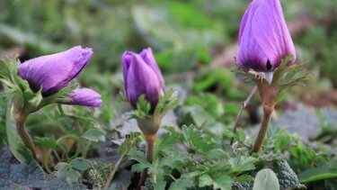«Σαράντα φας, σαράντα πιείς, σαράντα δώσε για την ψυχή»