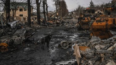 Τουλάχιστον 27 άμαχοι σκοτώθηκαν στο Χαρκίβ - Περίπου 3.500 πολίτες απομακρύνθηκαν από το Σούμι 
