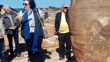 Διαδικτυακή διάλεξη από την Αθηνά Σφακάκη