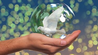 Ημερίδα για την Ειρήνη