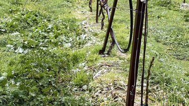 "Πληγωμένη" για ακόμη μια φορά η ύπαιθρος της Κρήτης