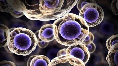 Αύξηση των θανάτων από φυματίωση παγκοσμίως