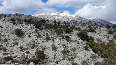 Στο οροπέδιο Καθαρού ο Φυσιολατρικός Σύλλογος Ηρακλείου