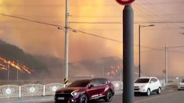 Νότια Κορέα: Δασική πυρκαγιά πλησιάζει πυρηνικό σταθμό 