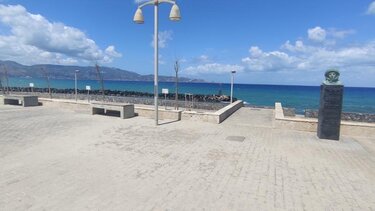 Αλμυρίκι στη θέση του φοινικοειδούς