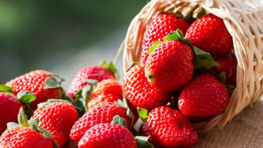 Φραουλόπιτα: Μια γρήγορη και εύκολη συνταγή για να εντυπωσιάσετε