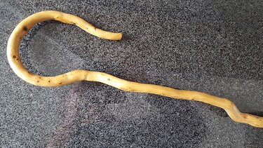 Από την Ιαπωνία στο... Εργαστήρι Κατασκευής Κατσούνας!