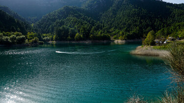 Οκτώ τόνοι ψαριών πέθαναν από ασφυξία σε μια λίμνη στη Γαλλία