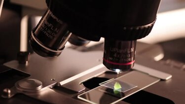 Μποζόνιο W: Η μέτρηση του σε επιταχυντή φέρνει επανάσταση στη Φυσική