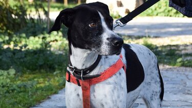 Δηλώνουν μεθυσμένοι μετά την κτηνωδία που προκάλεσε κατακραυγή!