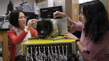 Νέα μέθοδος κατέστρεψε έως και το 80% των όγκων σε αρουραίους με τη χρήση υπερήχων