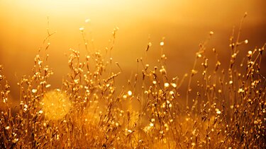 Copernicus: Το 2023 ήταν η πιο ζεστή χρονιά όλων των εποχών 