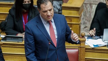 Αδ. Γεωργιάδης για την ακρίβεια: Με το ρεύμα εξαντλήσαμε τα περιθώριά μας