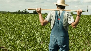 Κραυγή αγωνίας των αγροτών για τους εργάτες γης από τρίτες χώρες