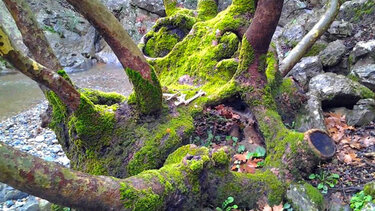 Σε φαράγγια του Ρεθύμνου ο Φυσιολατρικός Σύλλογος Ηρακλείου