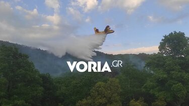 Χαλκιδική: Υπό μερικό έλεγχο η φωτιά σε δασική έκταση