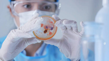 Συναγερμός για τον Candida Auris σε νοσοκομείο της Κρήτης