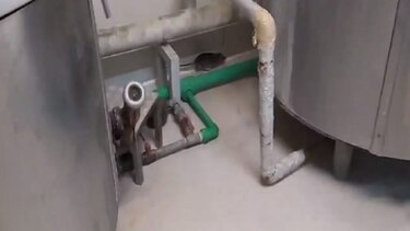 Ποντίκι κάνει βόλτα μέσα στη Λέσχη Σίτισης