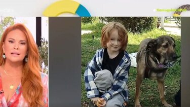 Αρπαγή 6χρονου Ράινερ: «Στο φως» ο δικαστικός συμβιβασμός που είχαν υπογράψει οι δύο γονείς