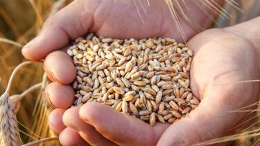 Το Κίεβο κατηγορεί τη Ρωσία πως κατέσχεσε 400.000 τόνους σιτηρών