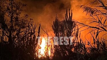 Πήραν φωτιά καλαμιές κάτω από το στάδιο της Παναχαϊκής