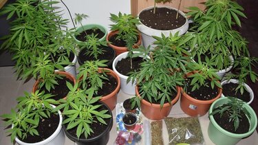 Σωρεία συλλήψεων για ναρκωτικά στην Κρήτη τη Δευτέρα 